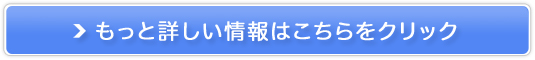 INICR[q[XgA̔TCg